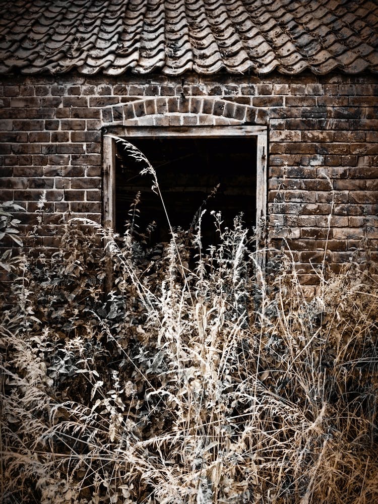 Inaccessible