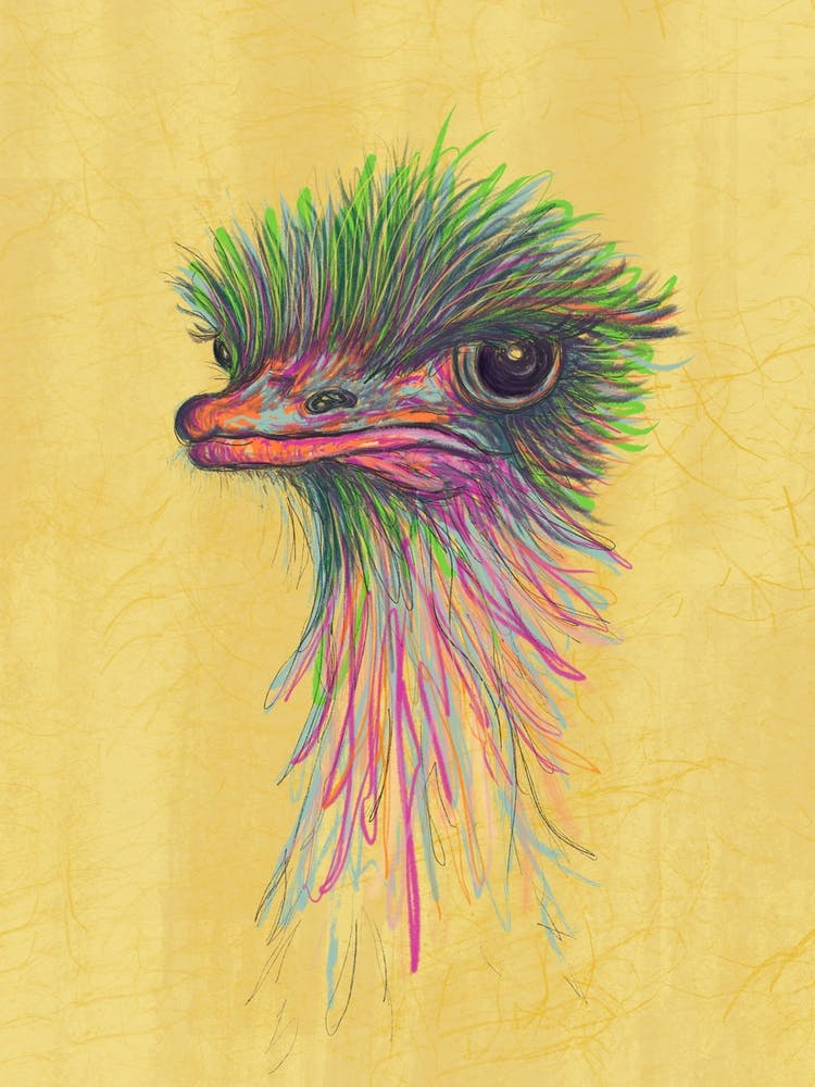 Olive The Ostrich