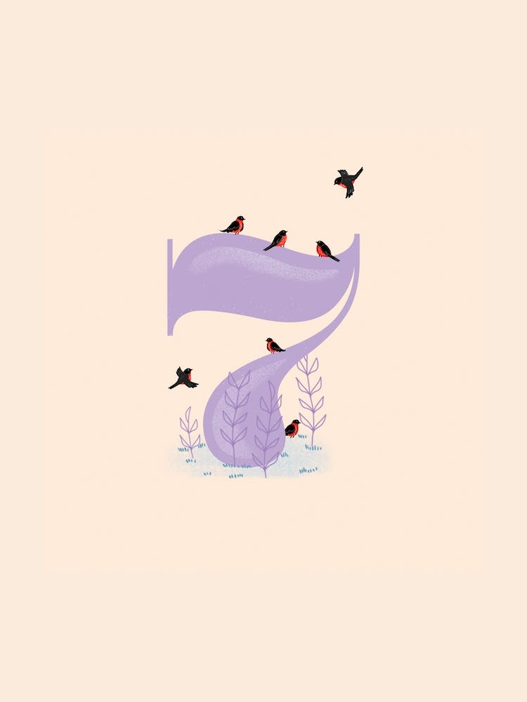 Letter 7 Birds