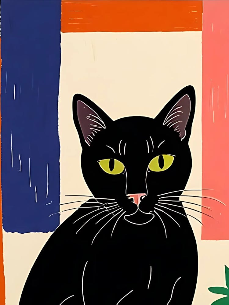 Black Cat 18
