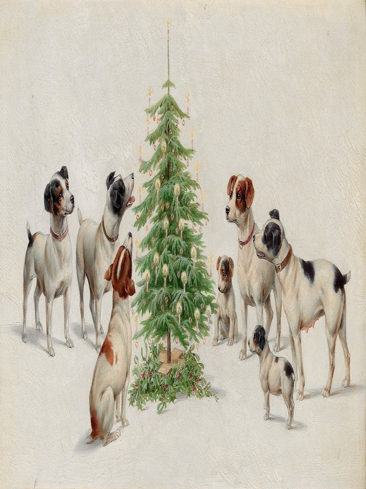 Jack Russell Terriers At Christmas Tree