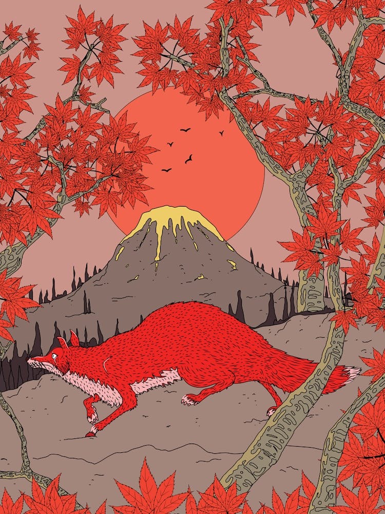 Red Fox