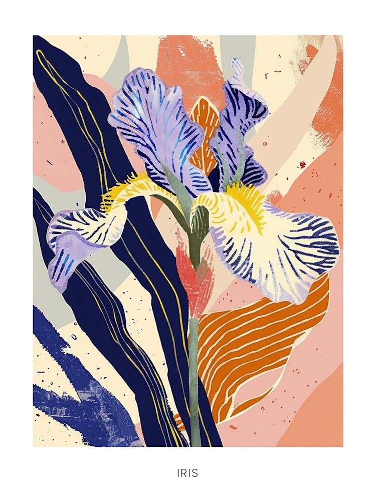 Colourful Flower Illustration Poster Iris 4