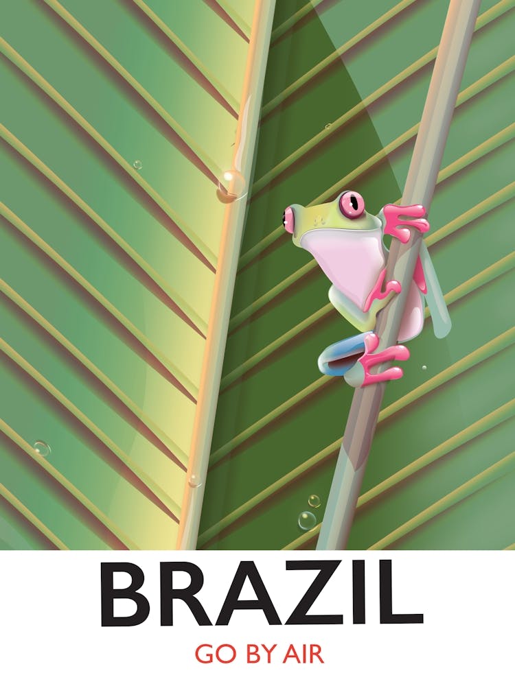 Brazil Travel Go By Air