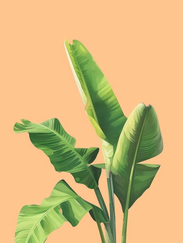 Banana Leaves 36