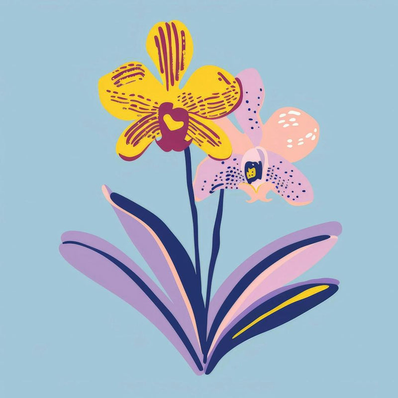 Orchids 16