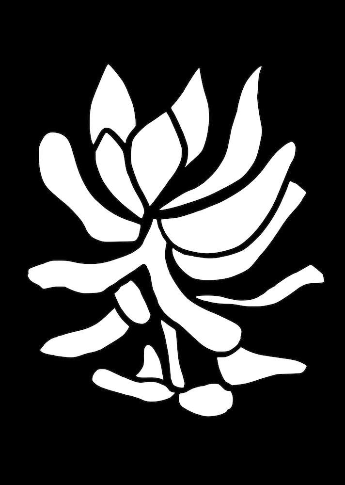Unter der Koralle