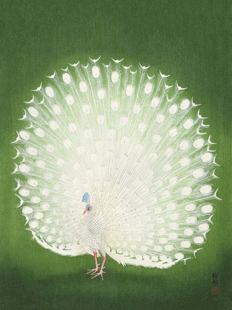 White Peacock, Vintage Asian
