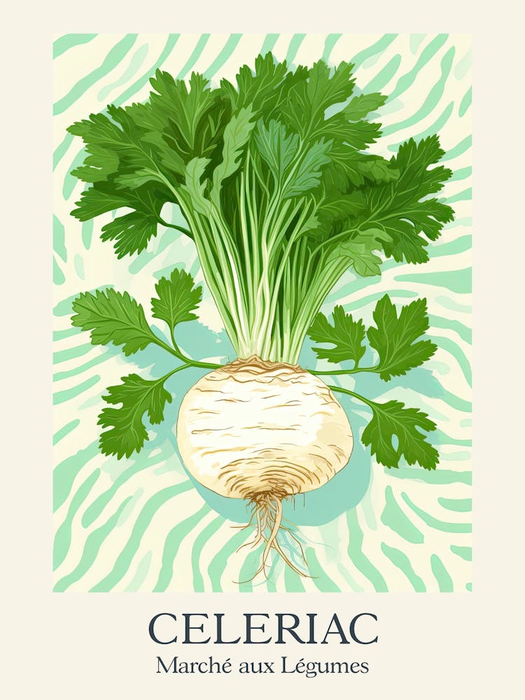 Marche Aux Legumes Celeriac Summer Illustration 7