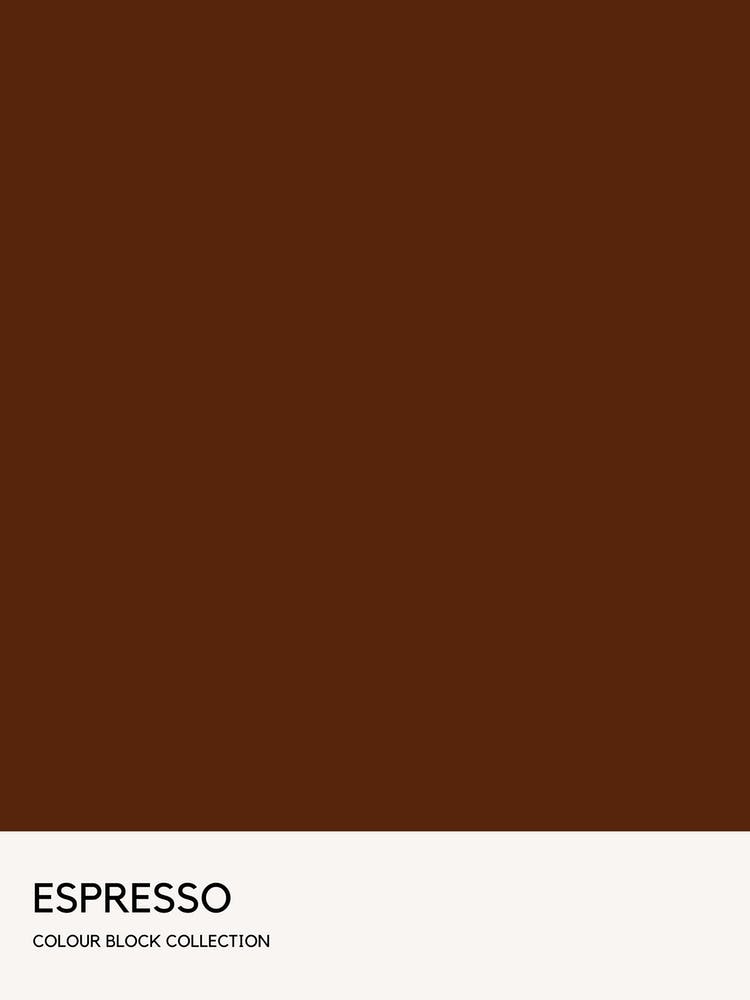 Espresso Colour Block Poster
