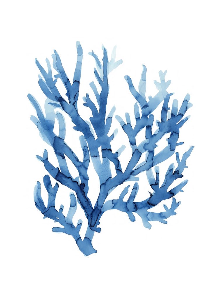 Blue Coral