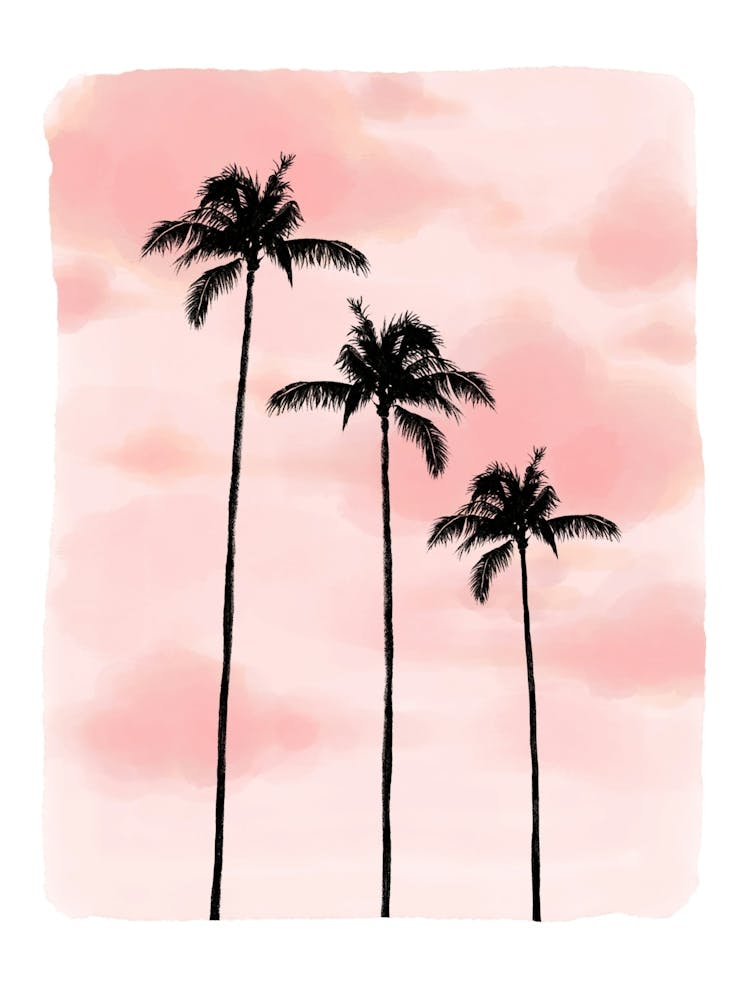 Sunset Palms