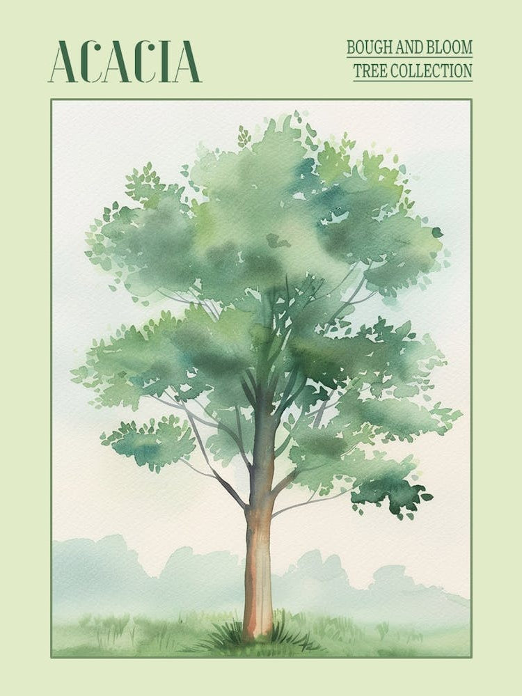 Acacia Tree Atmospheric Watercolour Painting 4 Poster