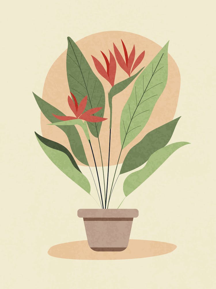 Minimalist Potted Plant with Red Flowers