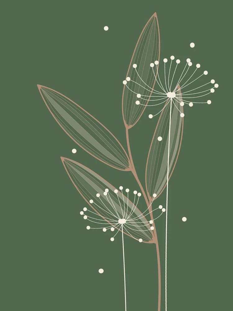 Dandelion 3