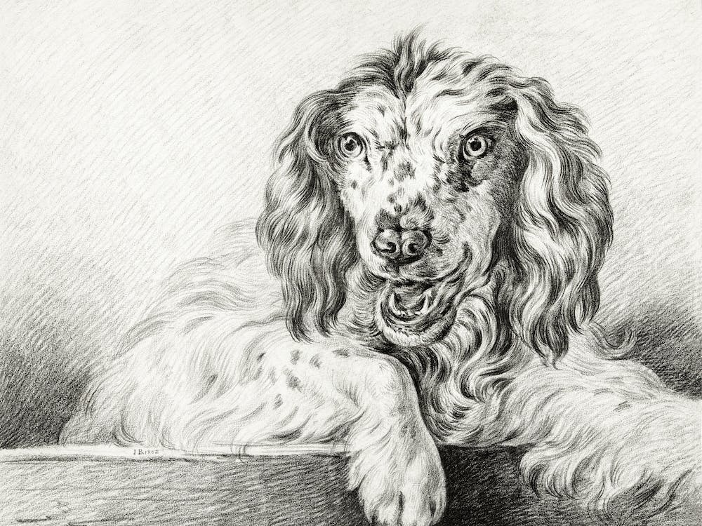 Dog (1802), Jean Bernard