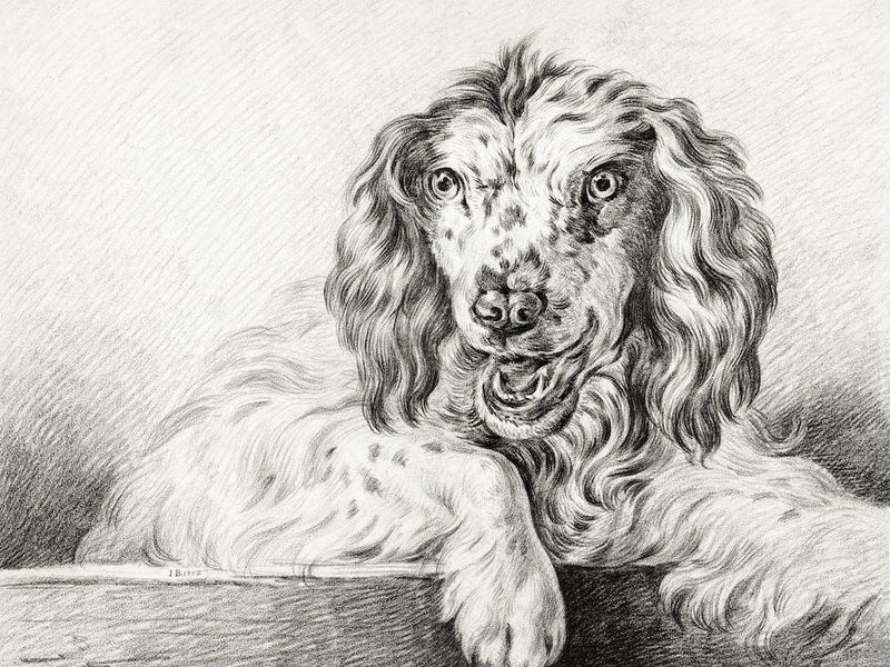 Dog (1802), Jean Bernard