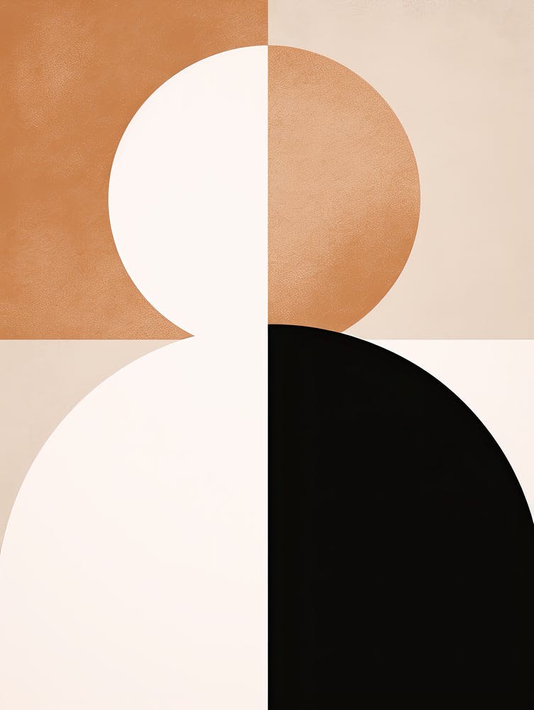 Mid Century 241