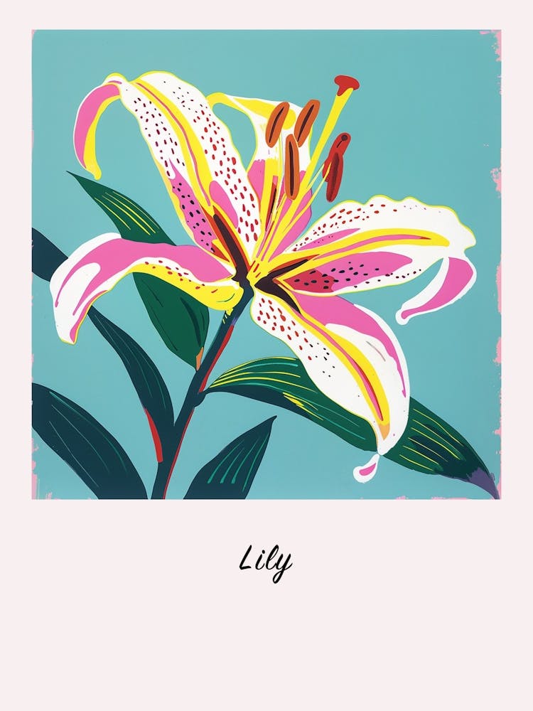 Lily 1 Square Flower Illustration Poster