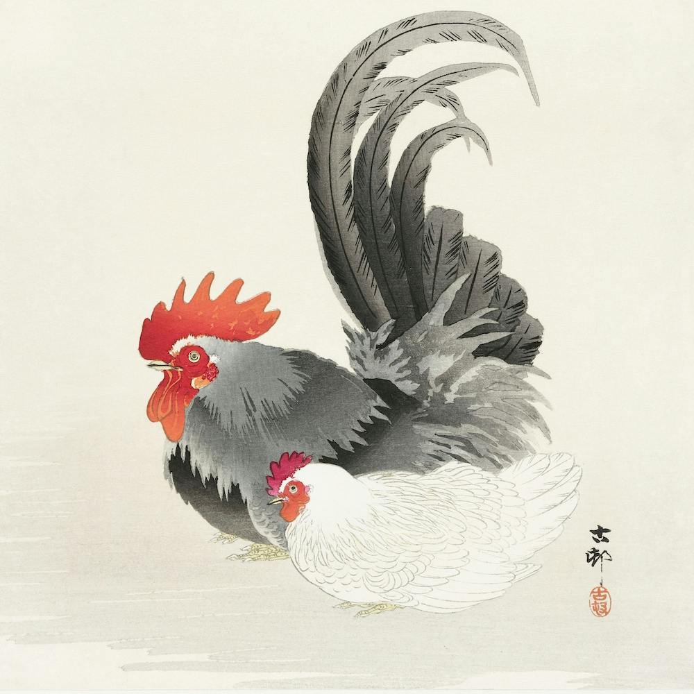 Chicken And Cock, Ohara Koson