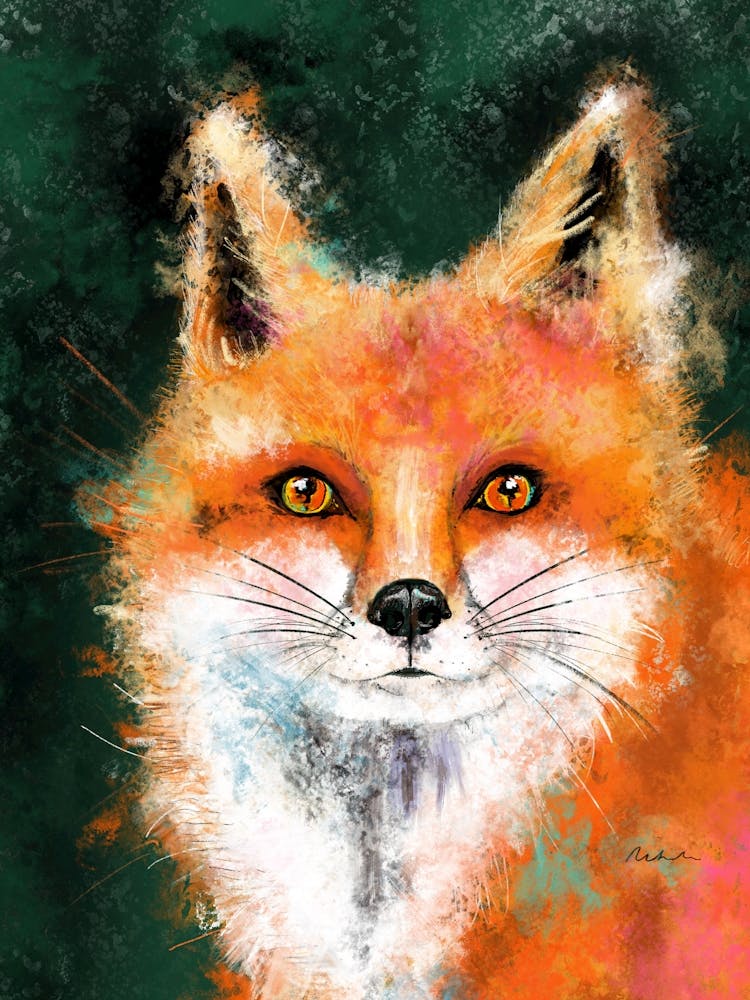 Fox In Colour