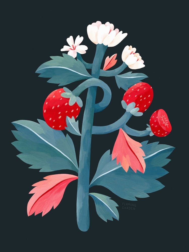 Strawberry