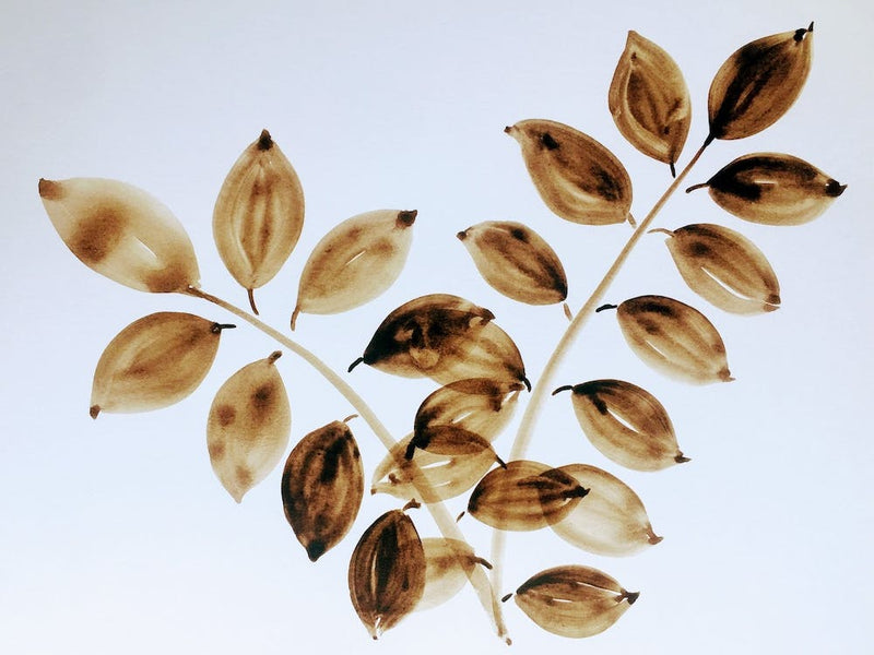 Brown Leaves