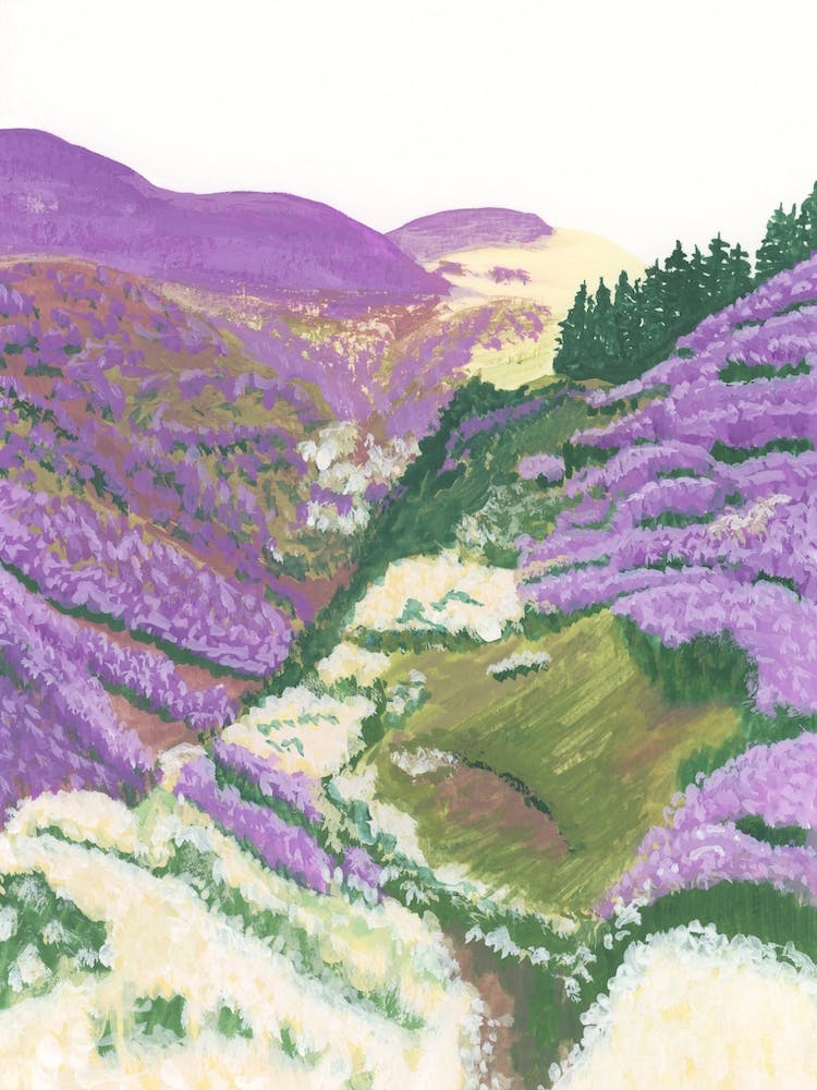 Purple Hills in Iceland