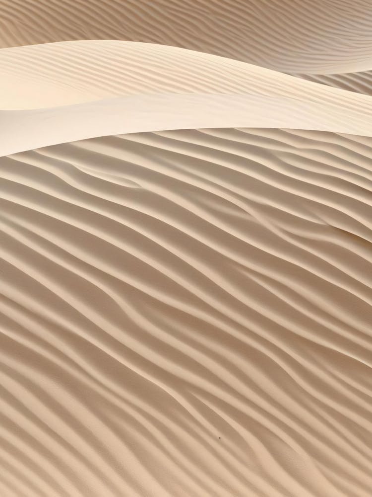 Dunes de Sable Dans le Désert