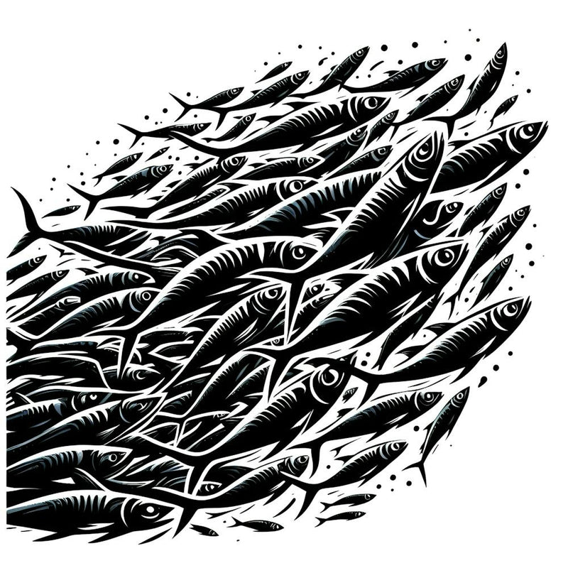 Sardines 5