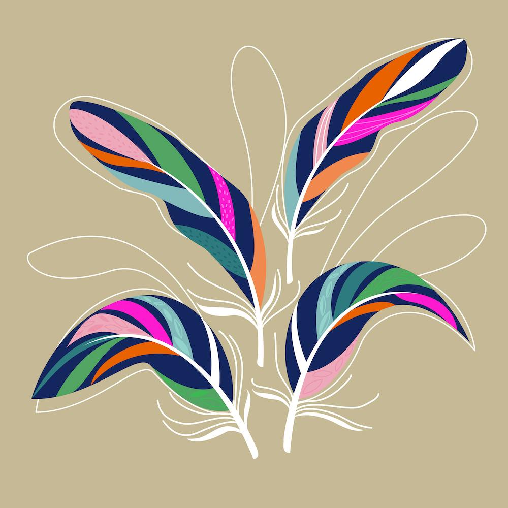 Feathers