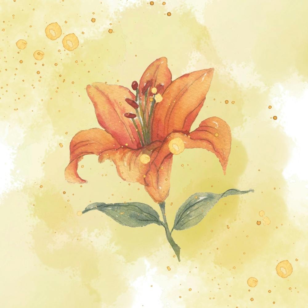 Orange Lily
