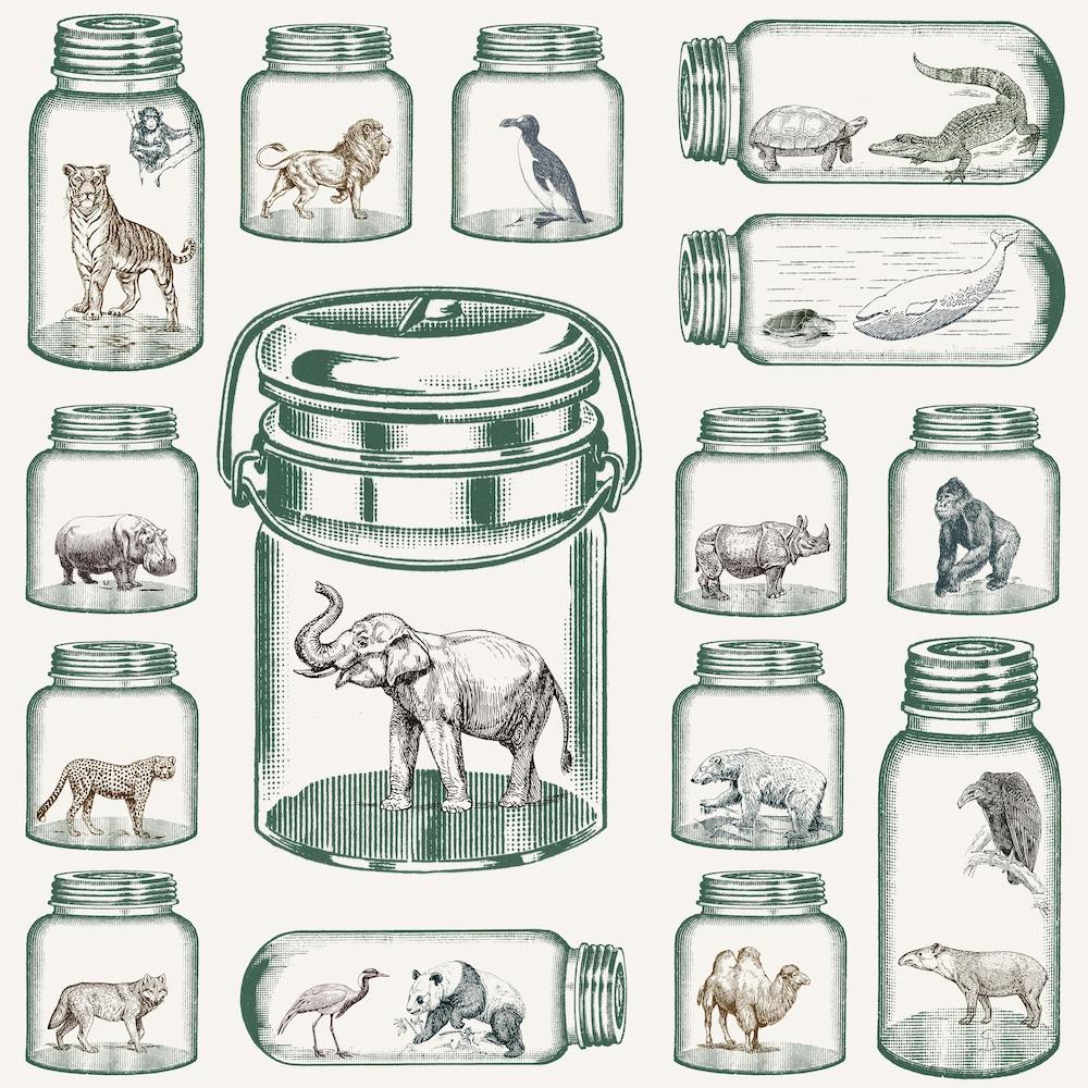 Endangered Species Preservation
