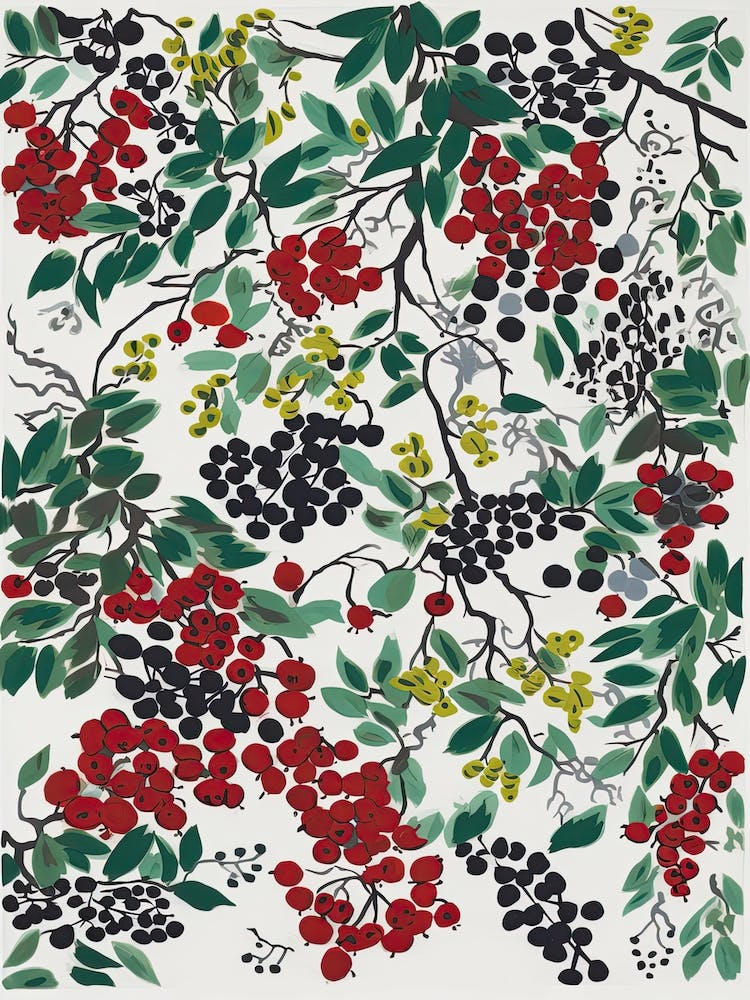 Redcurrant Fruit Drawing 4