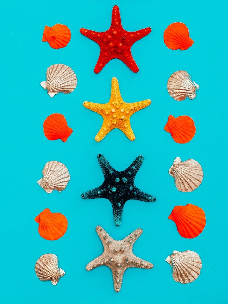 Starfish On Turquoise Background