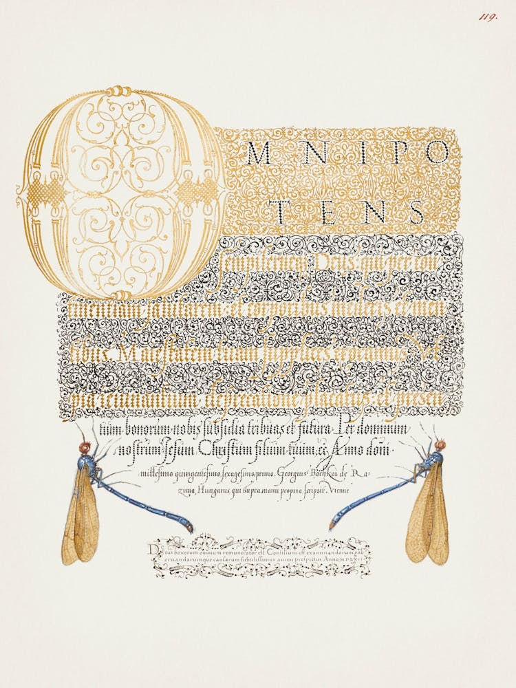 Damselflies From Mira Calligraphiae Monumenta Or The Model Book Of Calligraphy (1561–1596), Joris Hoefnagel