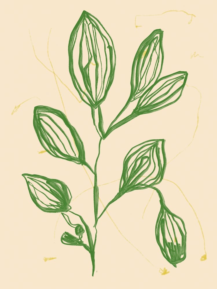 Color bloom no 11 3