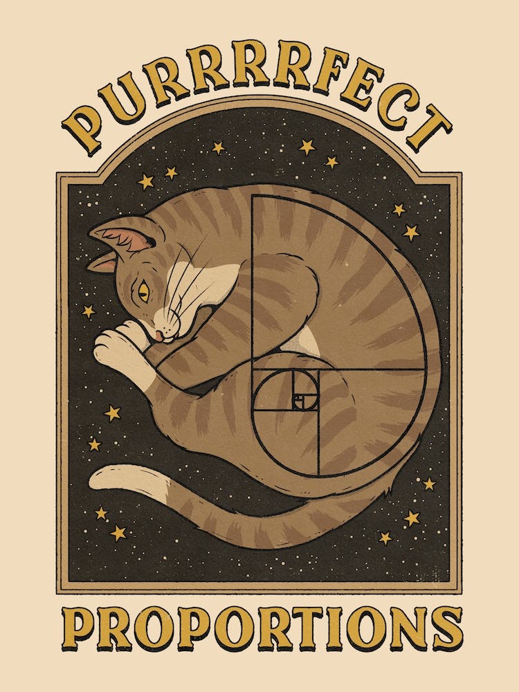 Purrfect Proportions