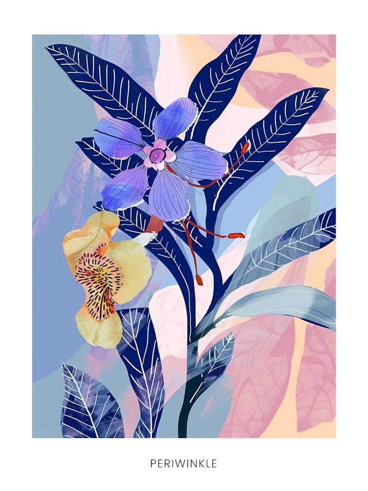 Colourful Flower Illustration Poster Periwinkle 3