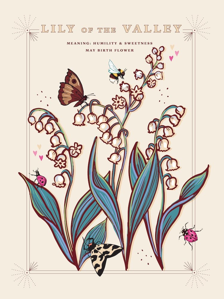 May Birth Flower Lily Of The Valley On Cream