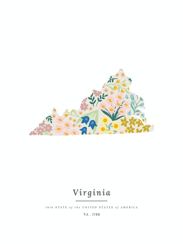 Virginia | Wildflower Mix
