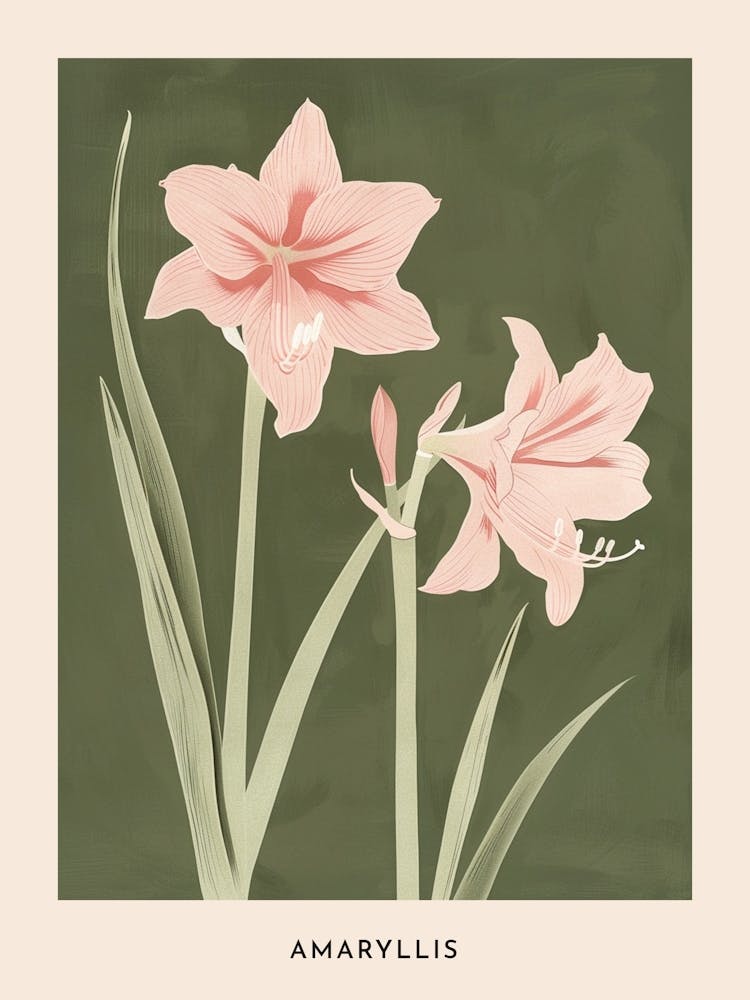 Rosa & Grün Amaryllis 2 Blumenposter