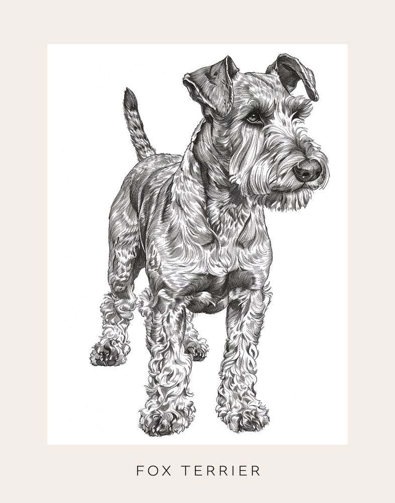 Fox Terrier Dog Line Sketch 3 Poster