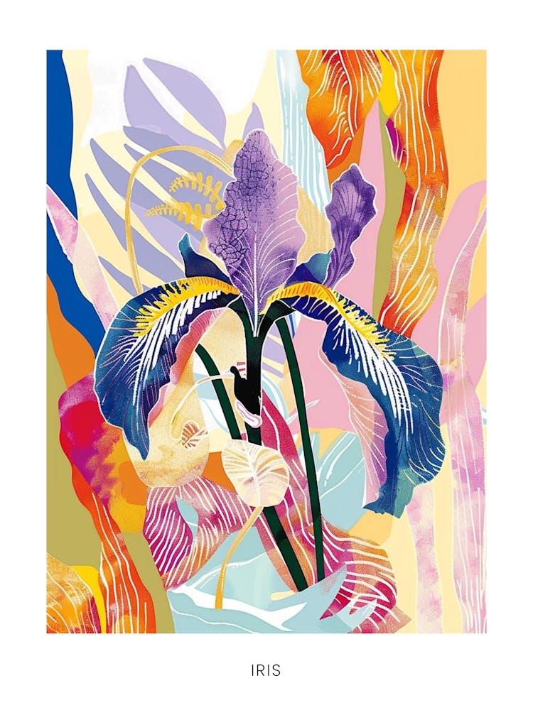 Affiche Illustration Florale Colorée Iris 6