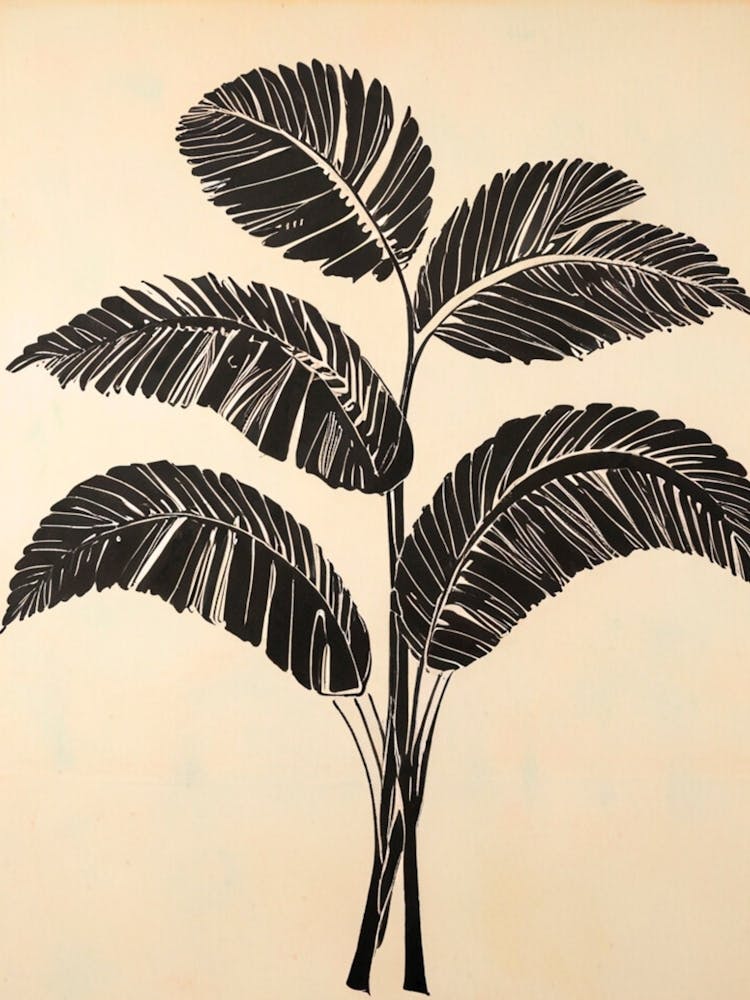 Palm Tree