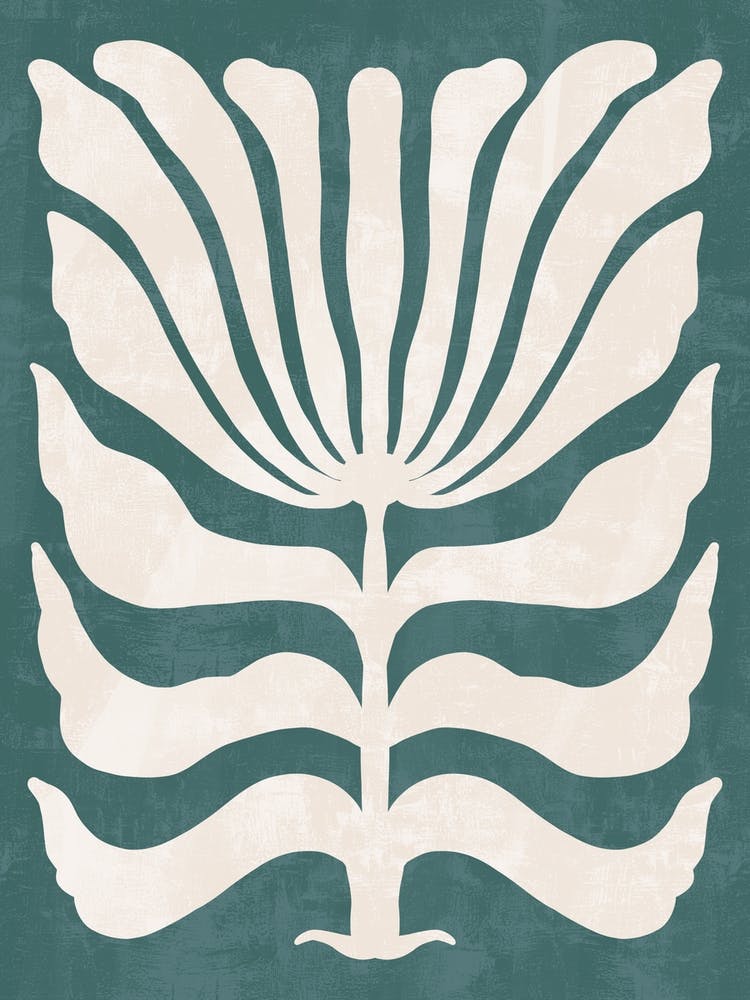 Sassafras