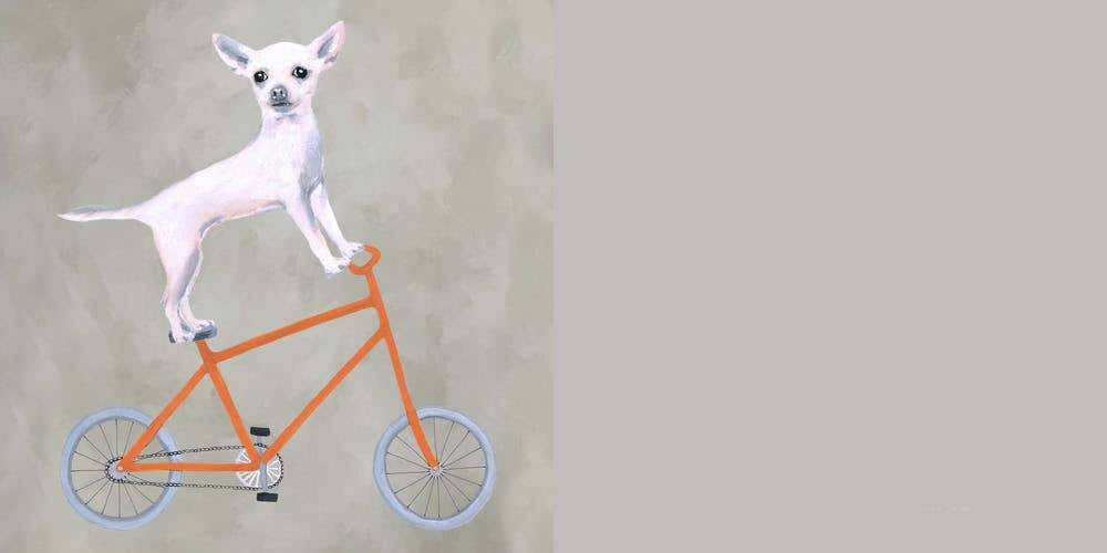 Chihuahua On Bicycle