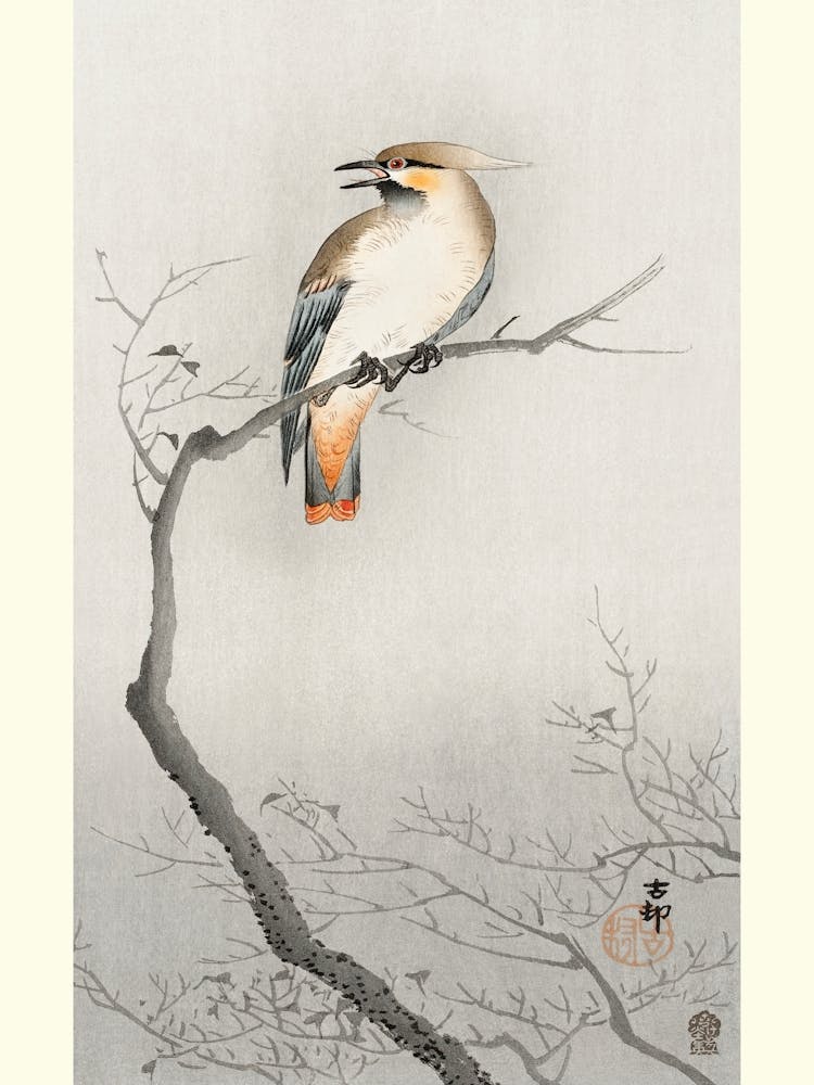 Japanese Plague Bird On Branch (1900 1910), Ohara Koson