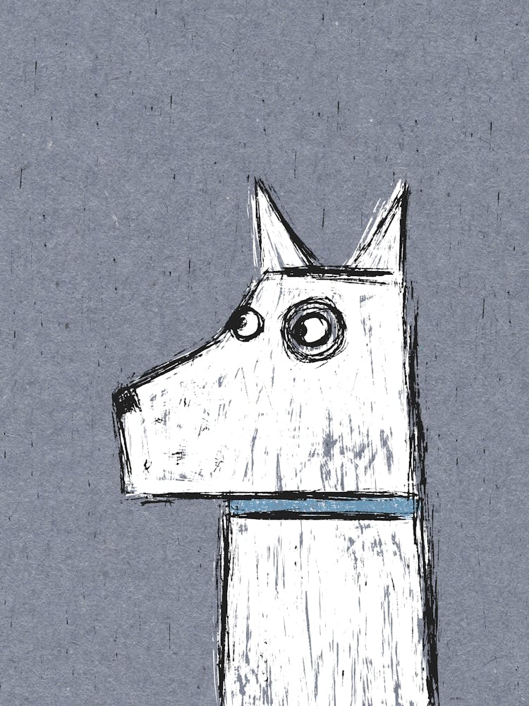 Little White Dog