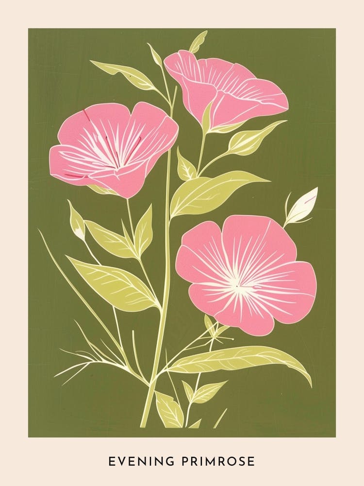 Pink & Green Evening Primrose 1 Flower Poster